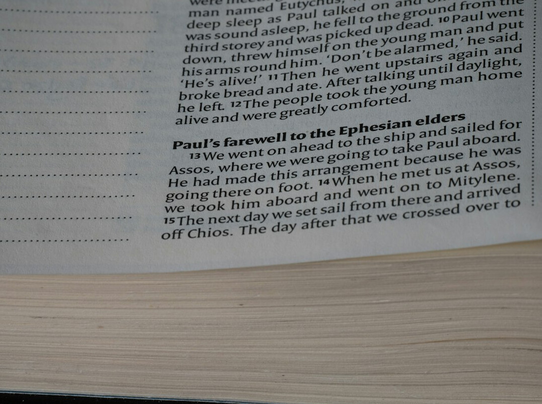 surprise ending book