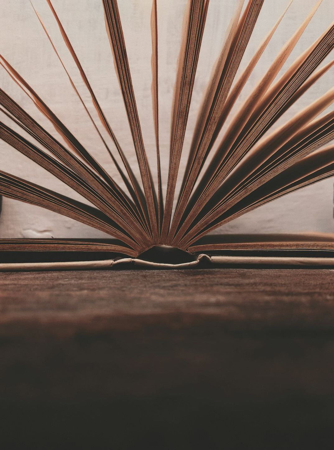 mystery book twist